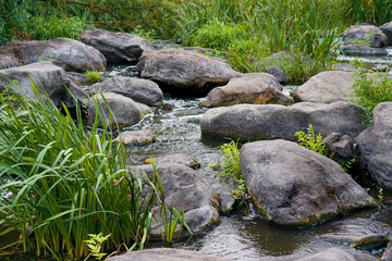 Naklejka na ściany i meble a beautiful mountain stream flows among stones and rocks
