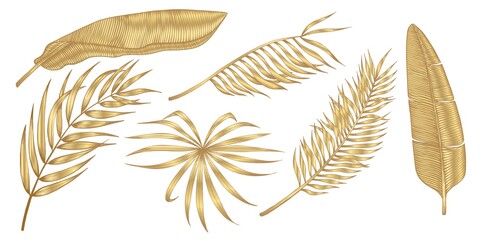 Golden tropical leaves on white background. Elegant exotic decoration  for cosmetics, spa, perfume, health care products,  tourist agency, summer party invitation, aroma. - 369014453