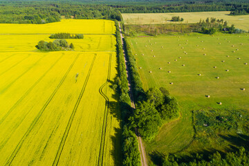An aerial of a flowering yellow Rapeseed field as a resource of cooking oil and a grassland in...
