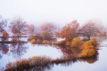 Foto auf Leinwand Soomaa National Park during a autumnal flood also known as the Fifth season in a foggy morning in Estonian nature, Northern Europe.  © adamikarl