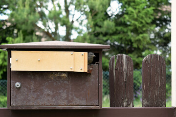 The young bird of black redstart (Phoenicurus ochruros) is going to fly out from the mailbox, in which it nested (spring 2020). Hole in the mailbox was reduced to protect the young birds