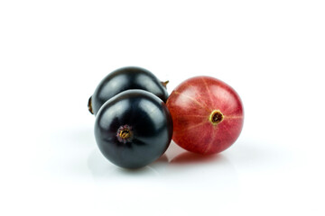 Berries of gooseberries and currants isolated on white background.
