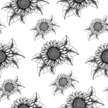 ink sunflower drawing seamless background, black and white floral design for wallpaper, wrapping and fabric, vintage sunflower textile design