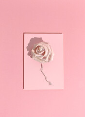 Minimal aesthetic still life monochrome design. Pastel pink colours trends.  Roses flowers