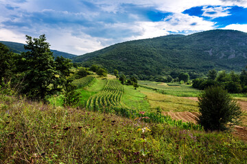 Fototapeta na wymiar Mountains scenery with blue sky background in summer