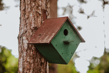 Wooden birdhouse is on the tree. Copy space.