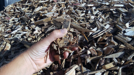 wood and wood chips - fuel for bio power plants