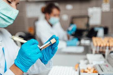 Two female scientists or technicians with face protective masks work in laboratory on human blood...