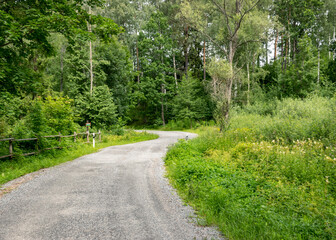 Fototapeta na wymiar landscape with a simple country road and a wooden fence along the edge, summer