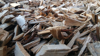 wood and wood chips - fuel for bio power plants