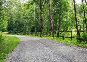 landscape with a simple country road and a wooden fence along the edge, summer
