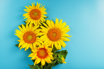 A bouquet of sunflower seed flowers on a blue background.