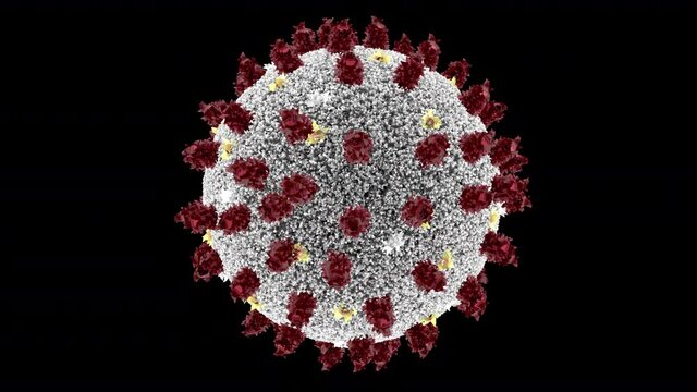 corona virus 4K loop alpha channel