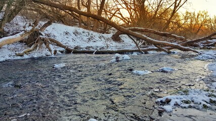 Books of the last century among the ashes