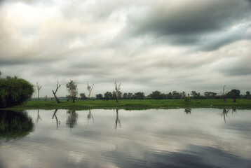 Wild nature near Kakadu National Park, Australia