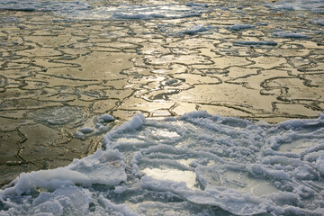 Ice and snow in the sea at sunset