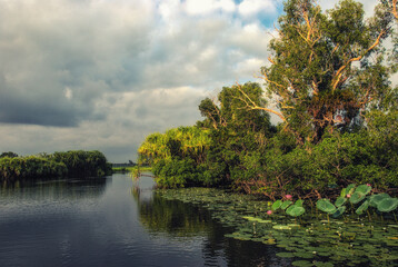 Wild nature near Kakadu National Park, Australia