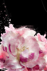 Pink Rose Digital Illustration. Floral Painting background. Soft color watercolor on black background for wallpaper, cards, invitation or fabric.
