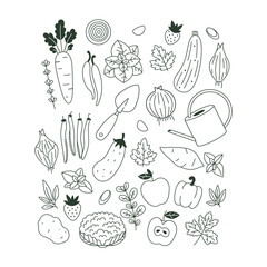 Collection of minimalist plants and vegetable illustrations. Organic fresh collection. Scandinavian style. Vector illustration