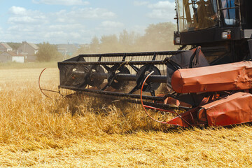 The combine harvests ripe wheat in the grain field.