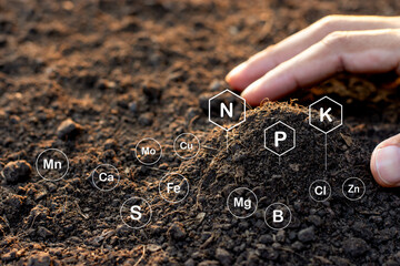 Soil texture background, Fertile loam soil suitable for planting.