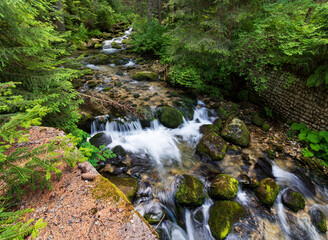 Small waterfall in the forest.