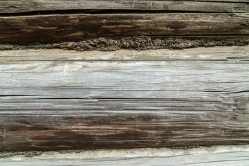 wooden background texture, gray log crack element wall rustic base web design