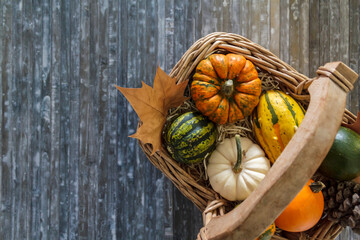Top view of wicker basket with pumpkins on blue background