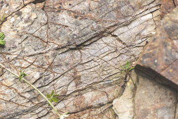 Rocky cliff texture