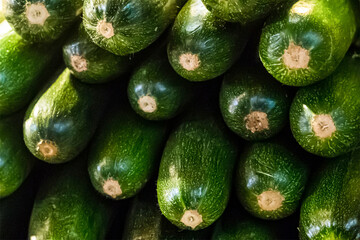 set row of zucchini green fresh mature vegetables long fruits green dark end stack ingredient stew background backing