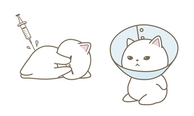 ワクチンを打つ猫　術後の猫