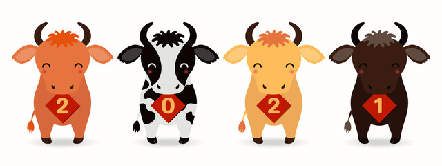 2021 Chinese New Year vector illustration with cute cartoon oxen holding cards with numbers, isolated on white. Design concept for holiday card, banner, poster, decor element, print, zodiac sign.