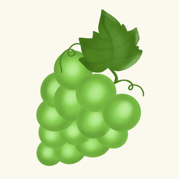 green grapes with round berries with a leaf on a white background