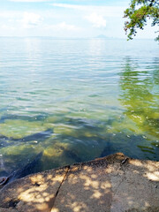 shellfish fossil in the stone,on the beach