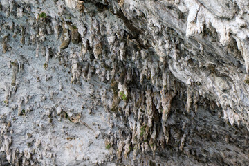 Stalactites in the Zinzulusa caves in Castro, Lecce, Salento, Puglia, Italy