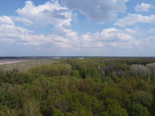 Blue cloudy skies over a dense forest, aerial view. Beautiful cloudy sky over the forest.