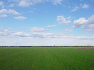 Blue sky over a green field, aerial view. Farmland landscape.