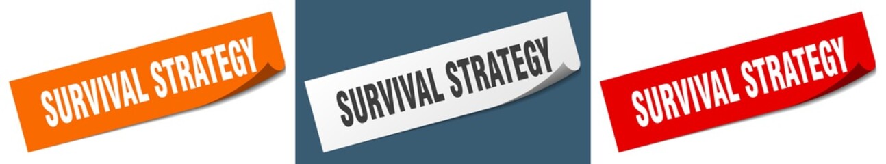 survival strategy paper peeler sign set. survival strategy sticker