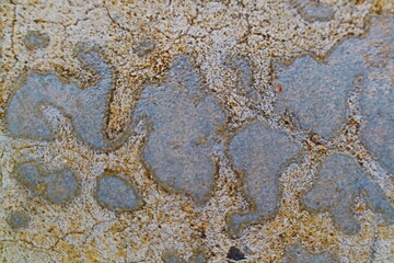 Old cement wall texture for background. 
