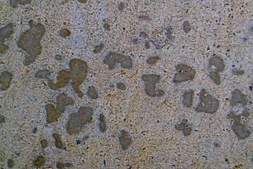 Old cement wall texture for background. 