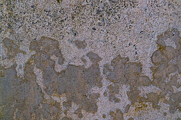 Old cement wall texture for background. 