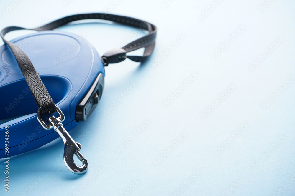 Wall mural Blue retractable dog leash on a blue background, with space for text. Close-up.