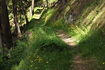 Tolle Landschaften und Wege