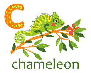 Flashcard letter C is for chameleon Education card