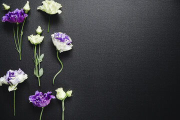 Naklejka na ściany i meble Flat lay composition with fresh purple and white flowers over a black canvas. Moody and dark creative photography.
