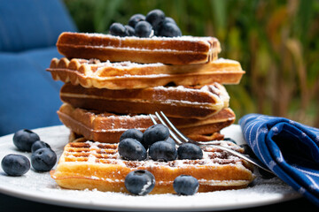 Belgian waffles with blueberries