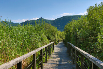 Fototapeta na wymiar Kaltern, Kalterer See, Schilf, Südtirol, Überetsch, Wanderweg, Leuchtenburg