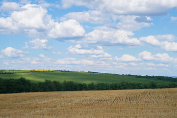 Fototapeta na wymiar photo of a landscape field against the sky