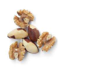Brazil nuts and walnuts on a white background