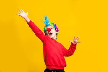 Boy clown with red nose and wig on a yellow background, portrait by belt, yellow background in the studio, copy of the holiday